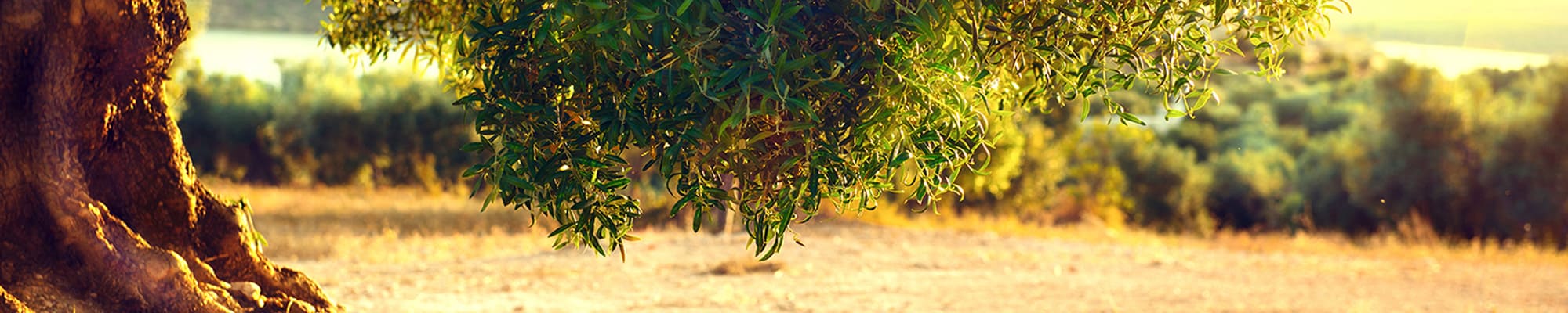 From 60 Years of Circular Economy Based Industry Experience to Sustainable Farming