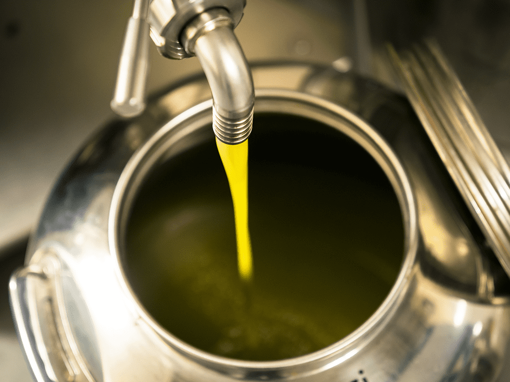 Olive Oil