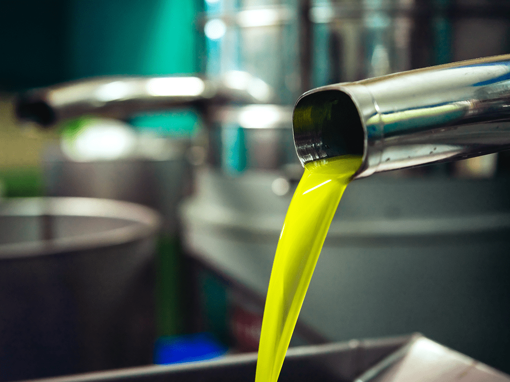 Olive Oil